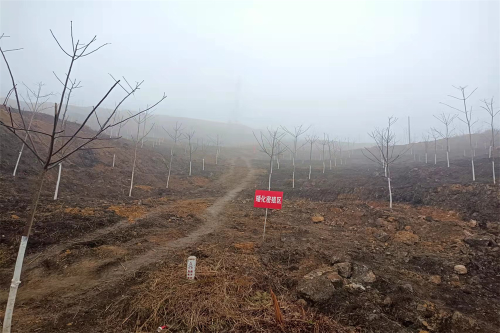 微信图片_20220315151046.jpg