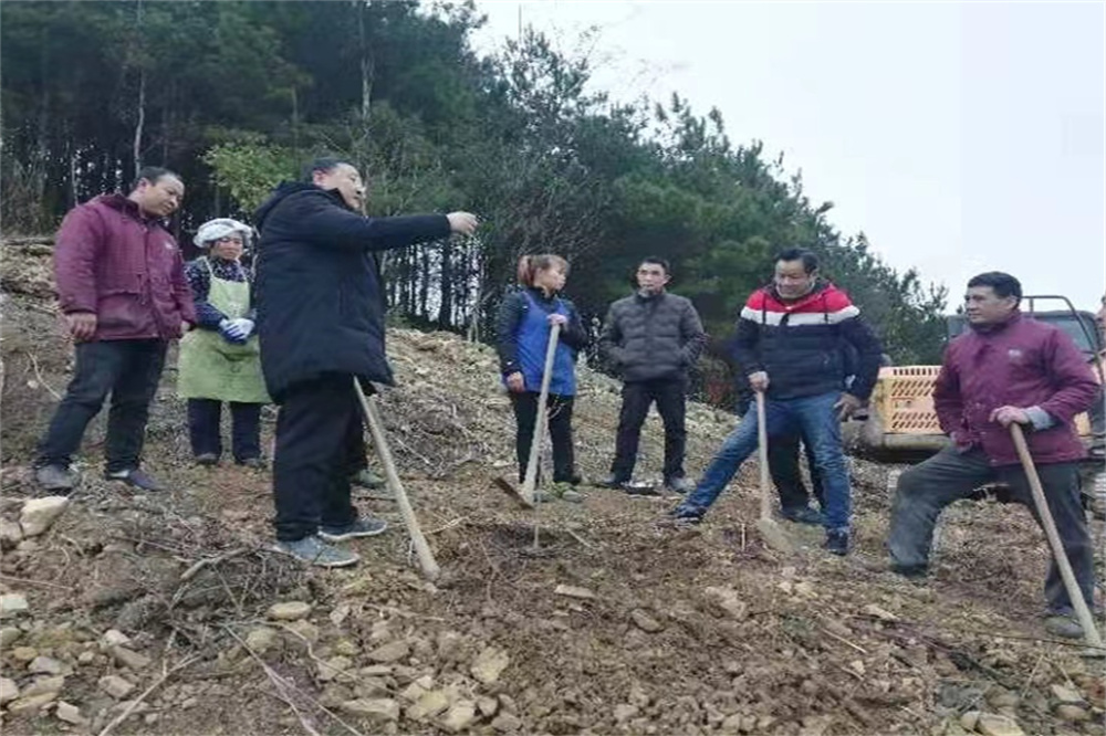 微信图片_20220402162957.jpg