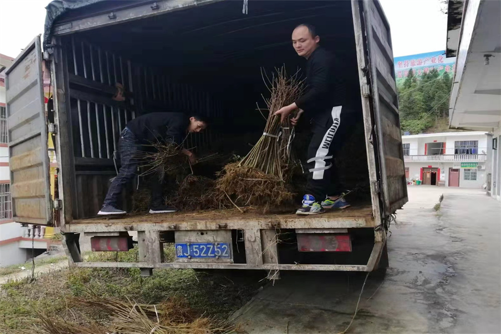 微信图片_20220402162715.jpg